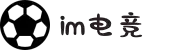 IM(股份有限公司)电竞-电子竞技平台